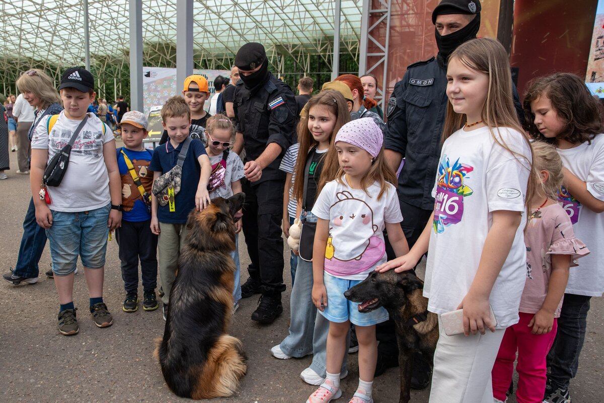    Тысячи посетителей приняли участие в семейном фестивале "День фронтовой собаки"