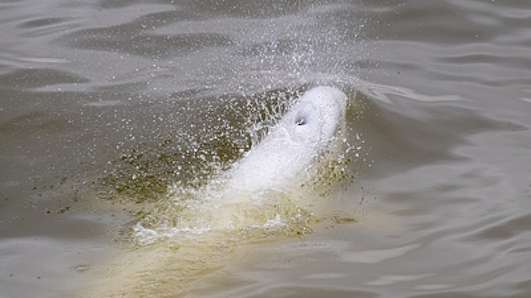    Komsomolskaya Pravda//Globallookpress