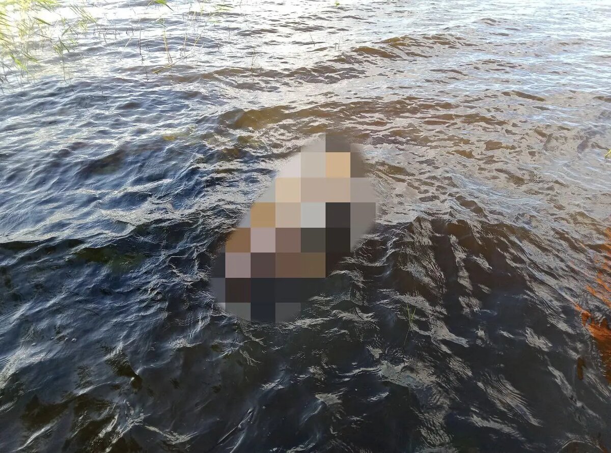    Фото: аварийно-спасательная служба Ленобласти