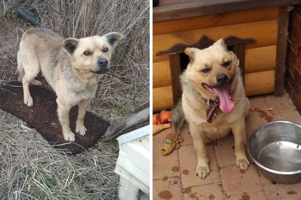 Больше года Хатя прожил в поле, чтобы, наконец, найти любящих людей. Фото: архив героев публикации. 