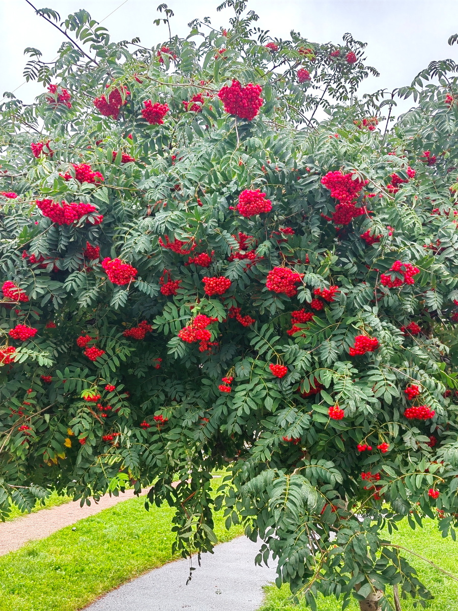 В городе сейчас очень красиво