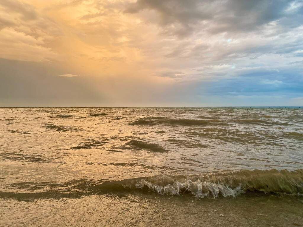    фото "Веселовские вести" Людмила Сахарчук Веселовские вести