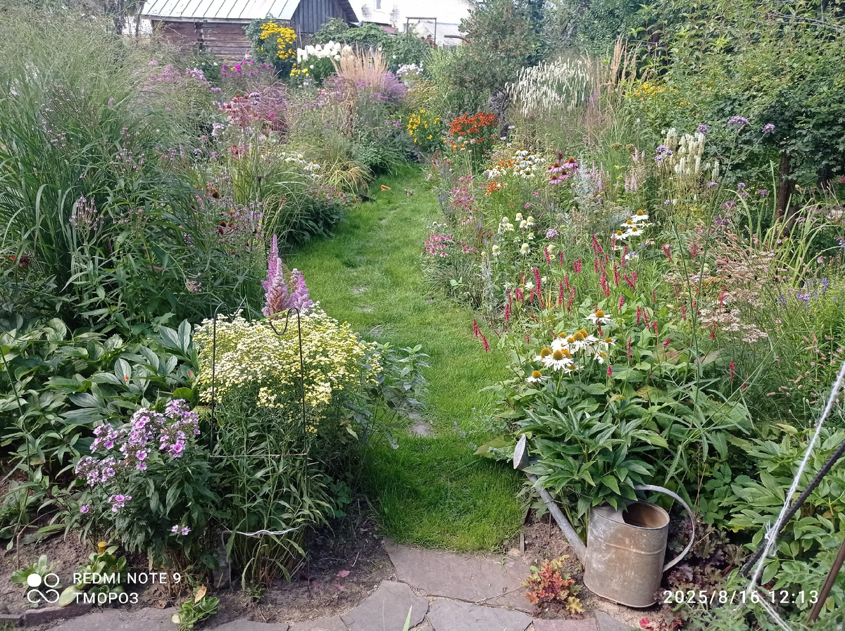 кажеься картинка неизменной