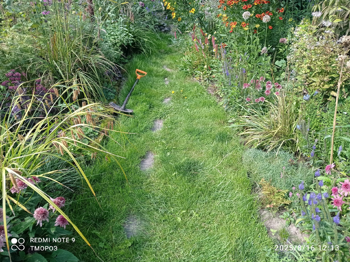 срочно косить