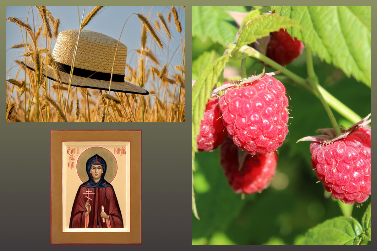 Икона мученица Евдокия Римляныня, Малина/pixabay.com