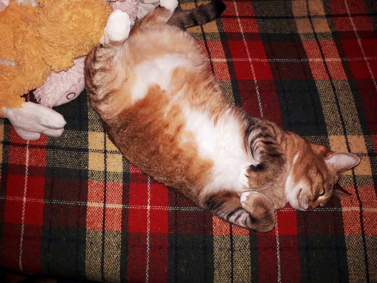 Фото автора 16.08.2025г.