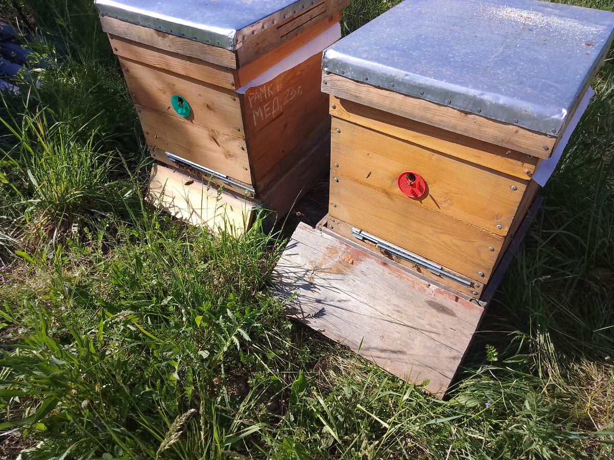 Фото весеннее без магазинов.