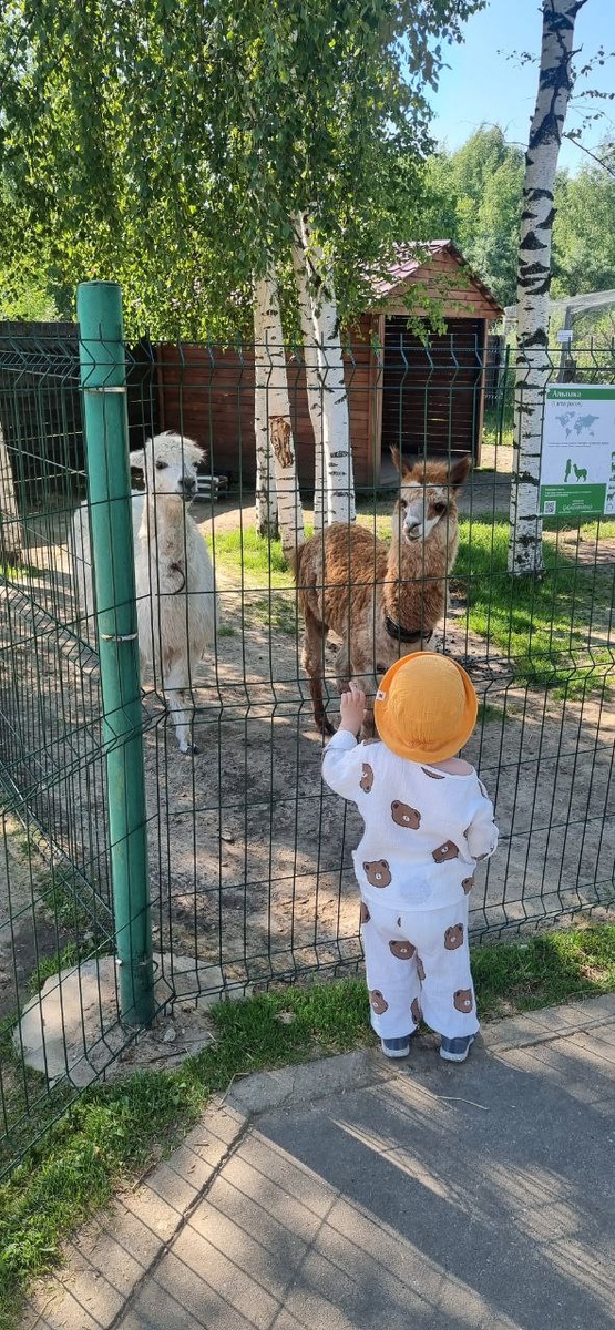 Фото из архива автора 