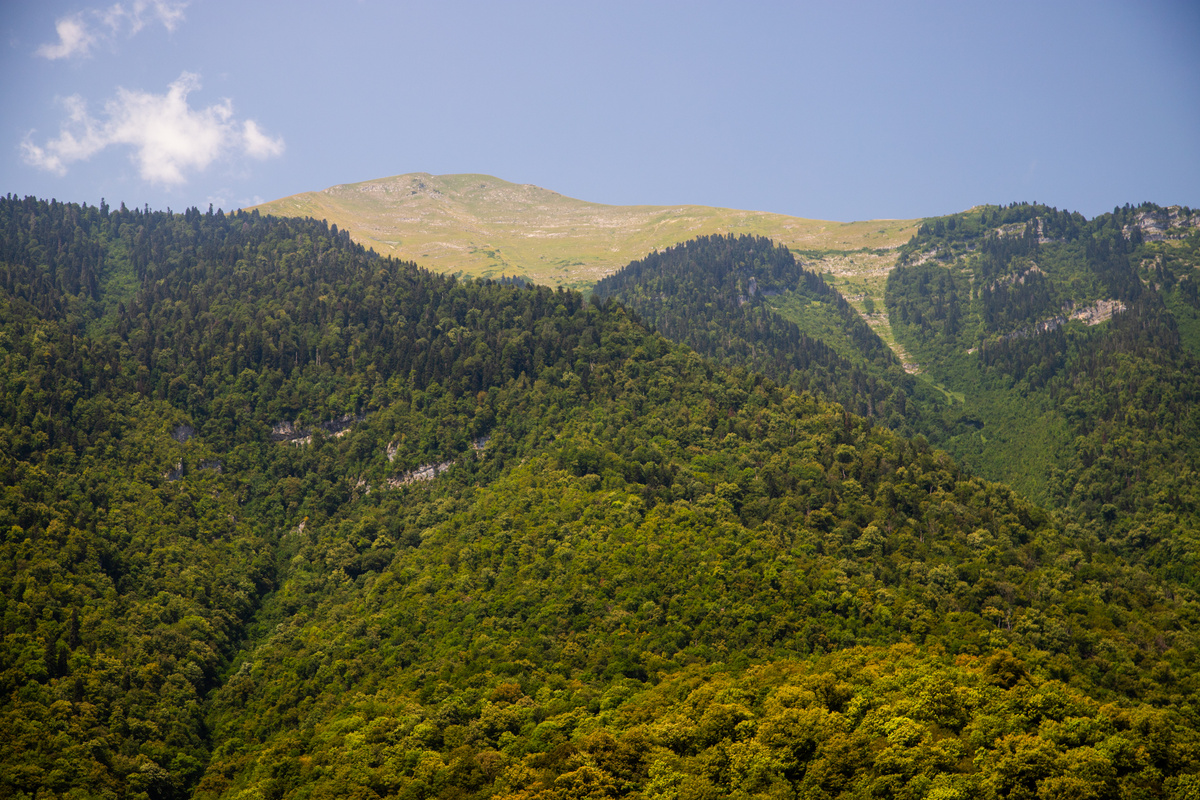 Горы Абхазии