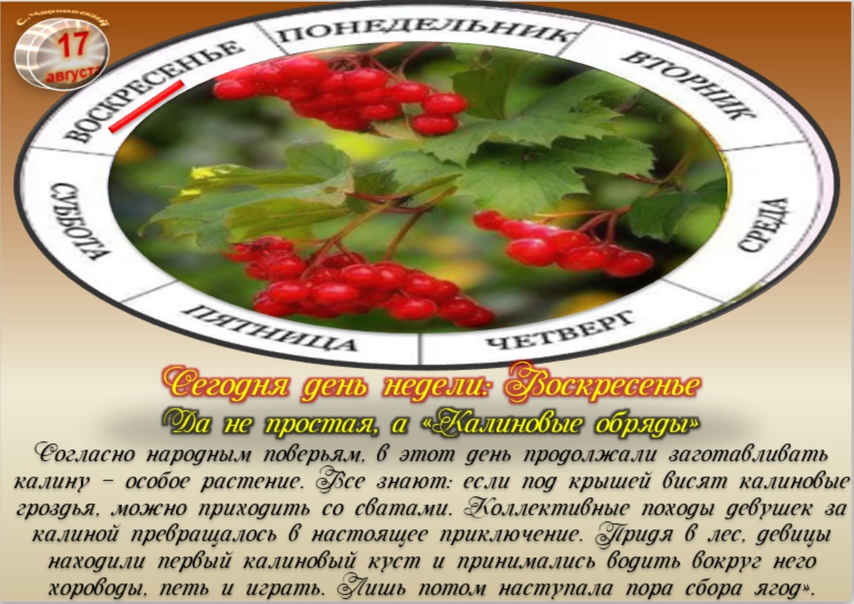 Встречаем новый день