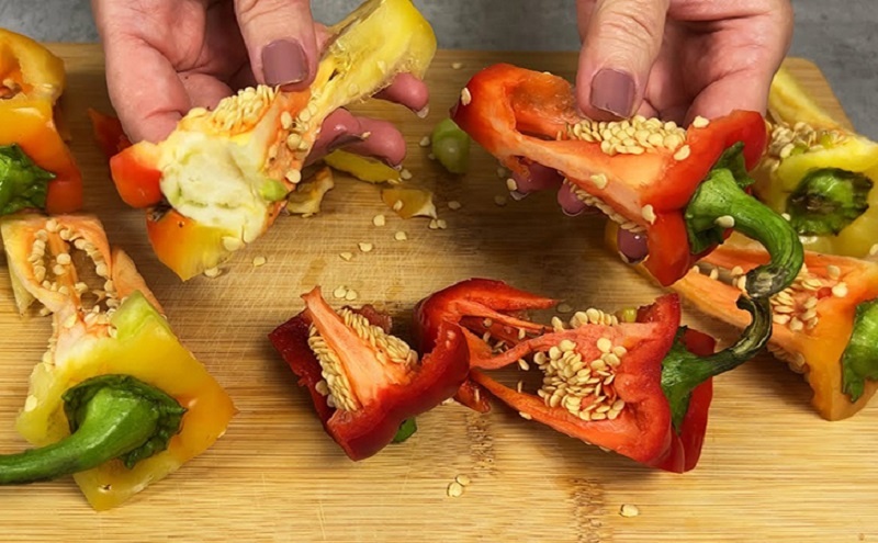 Гениальная приправа из семян болгарского перца: секрет вкусных и ароматных блюд