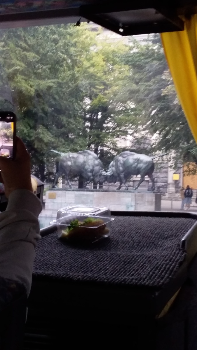 Колоритная скульптура "Зубров". Фото автора