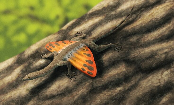 Мецистотрахелос. 