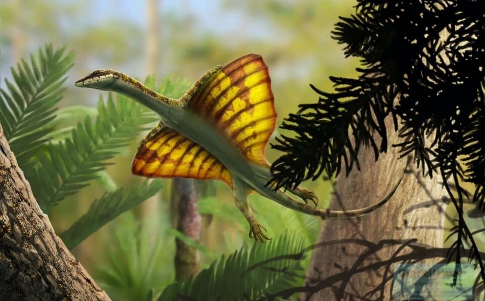 Мецистотрахелос, арт от Габриэля Угуэто.