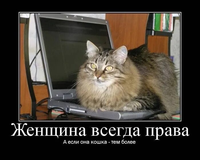 источник Яндекс-картинки