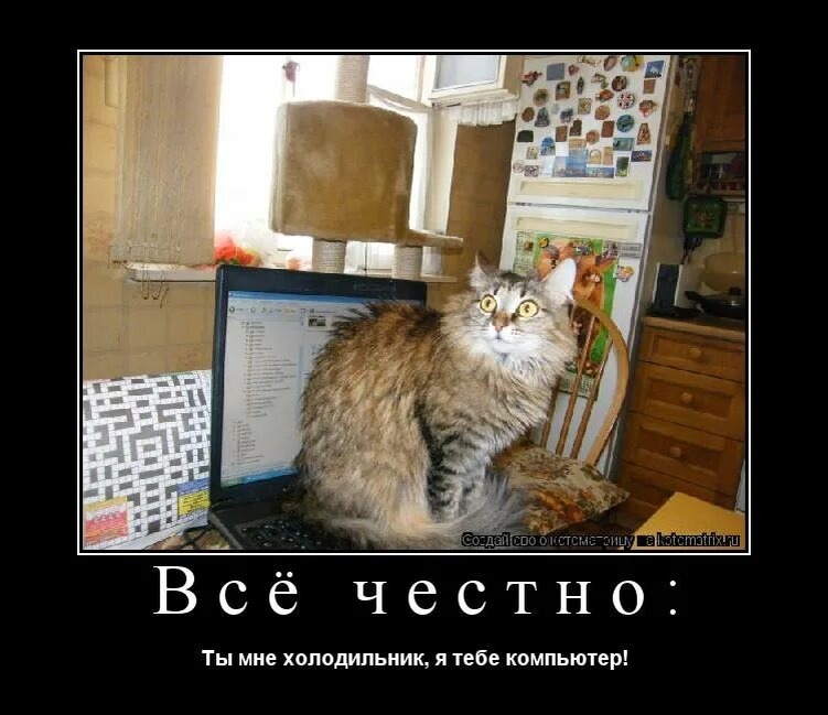 источник Яндекс-картинки