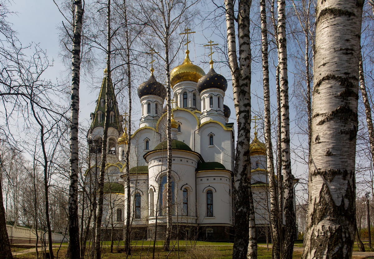 Московская область, Истринский район, пос. Княжье Озеро — Церковь Александра Невского