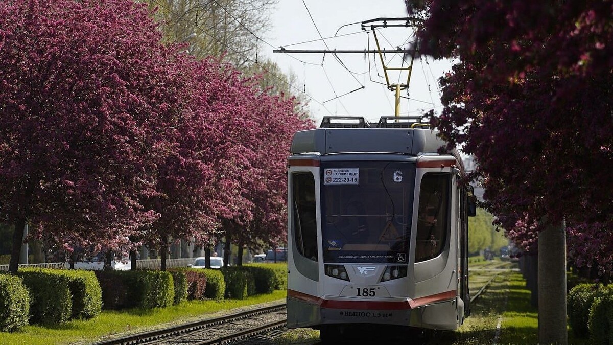    Фото: телеканал «Краснодар»