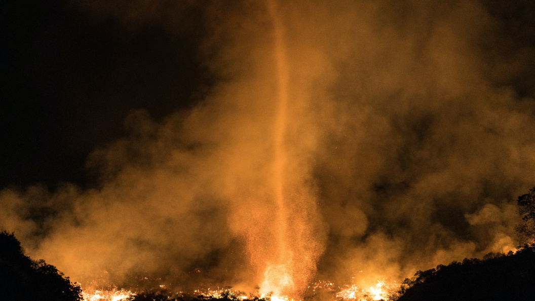    Фото: Elijah Hurwitz/Globallookpress