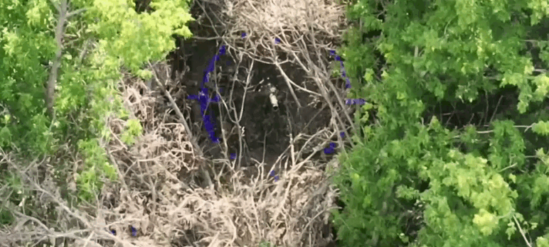    Видео: Telegram/"Северный ветер"