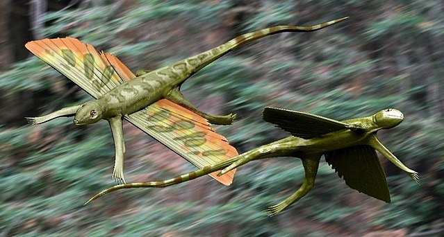 Кюнеозавриды – кюнеозух и кюнеозавр. Неважно кто из них кто, поскольку все они были на одно лицо.