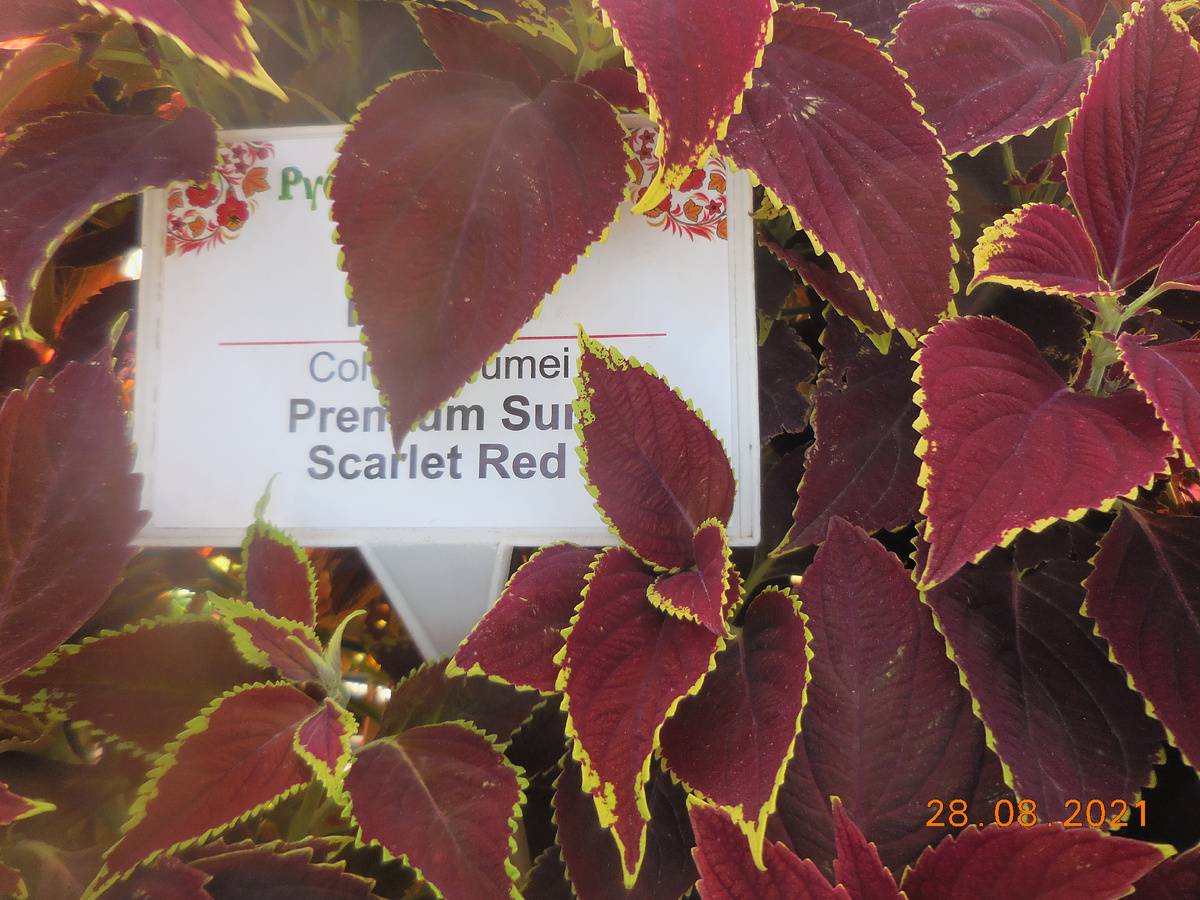 Правда красиво?!!