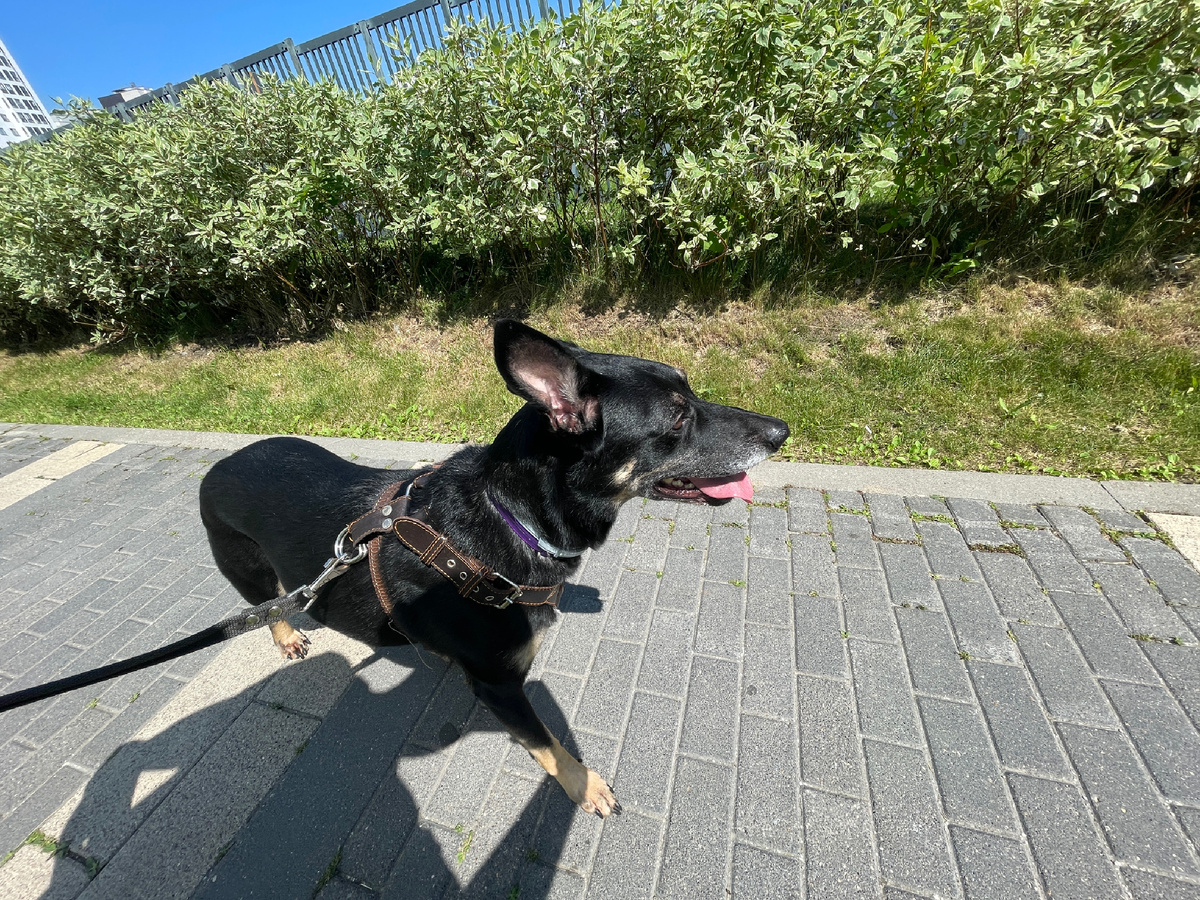 Погодка класс! Радует мой глаз! 😎