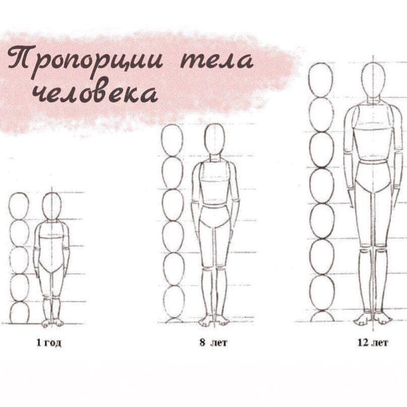 Источник: https://www.pinterest.com/pin/15973773666794460/