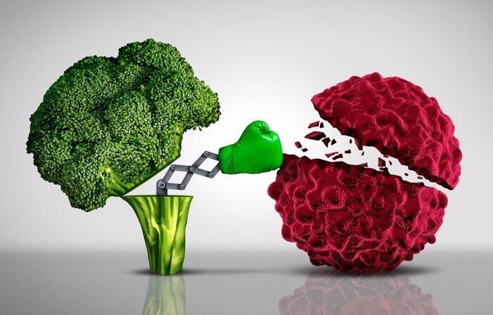 Как собрать тарелку, которая помогает в борьбе с раком