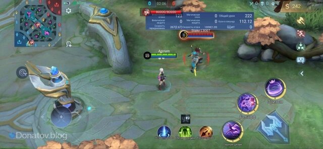    Зилонг без защиты