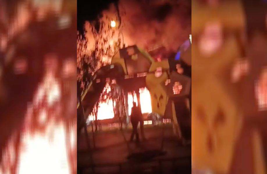     / Источник: © Кадр из видео