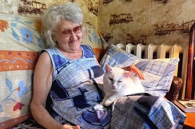    Один из котов, белый и пушистый, удобно развалился на коленях хозяйки. Фото: АиФ-Ростов/ Иван Заико