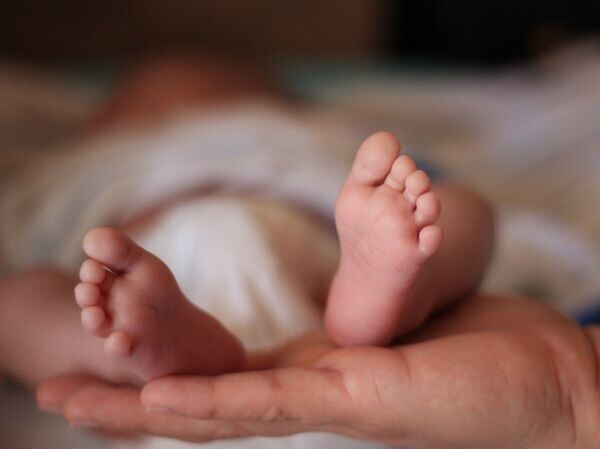    © CC0 / Public Domain pxhere