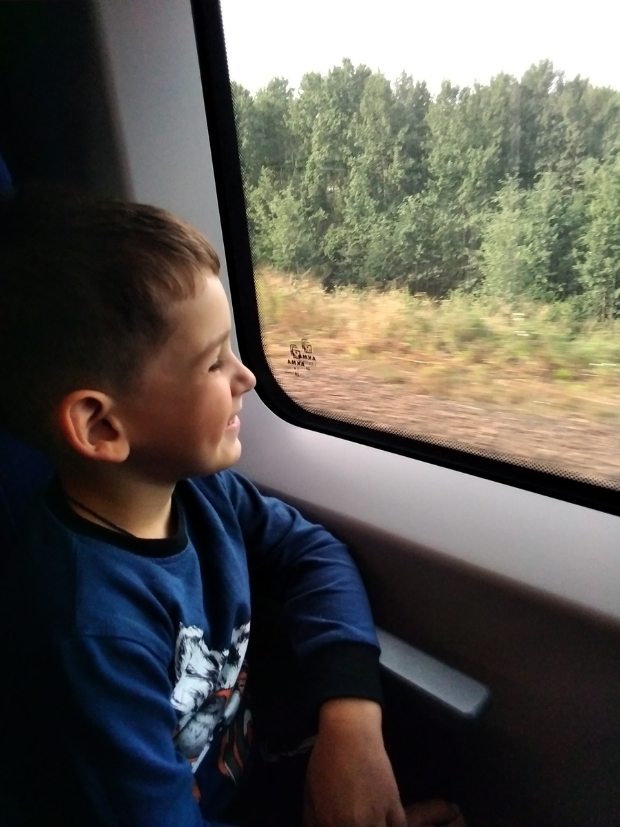 В "Ласточке" на Питер. Несколько дней и назад) 