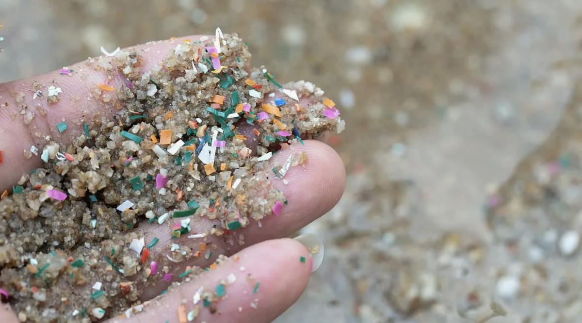 картинка взята из открытых источников интернета