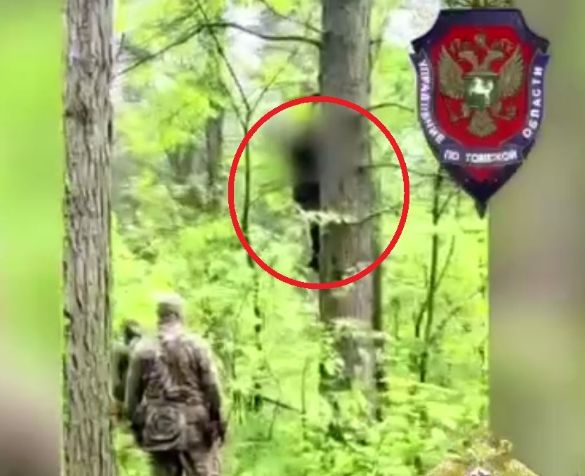 Мигрант пойман на дереве (кадр видео)