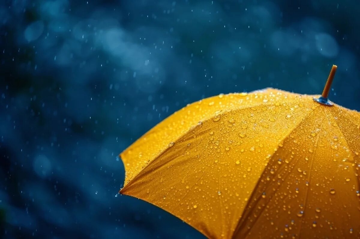    Погода 17 августа в Хабаровском крае: солнце играет в прятки с дождем