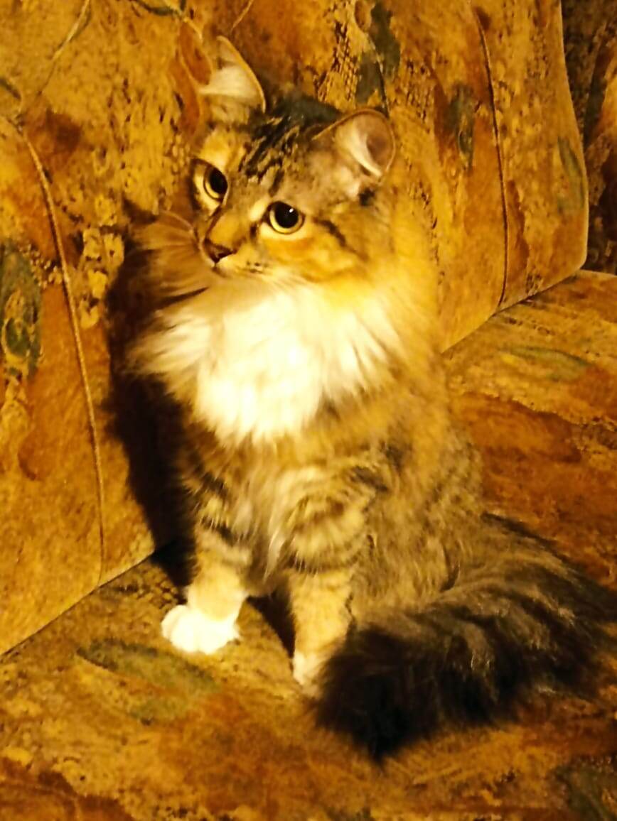 Настроена решительно! 