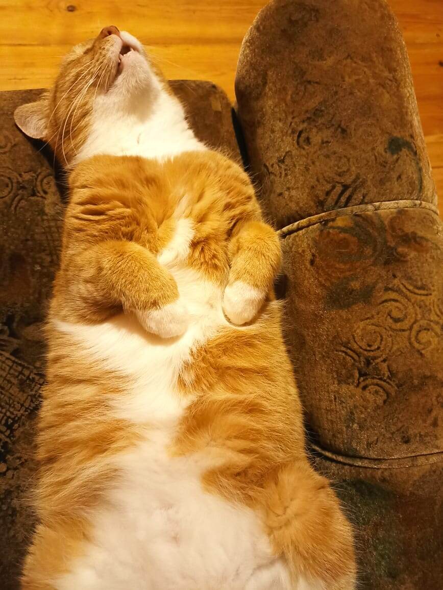 Устал порядки на участке наводить)) 