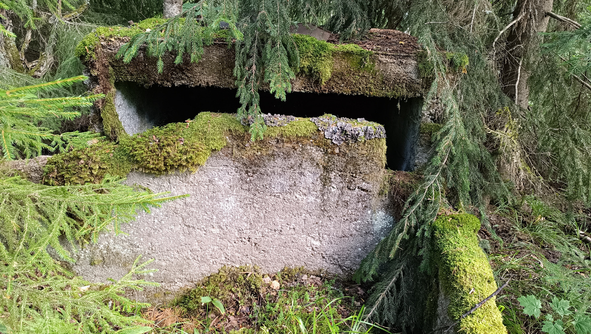 Фундамент бывшего дома прислуги
