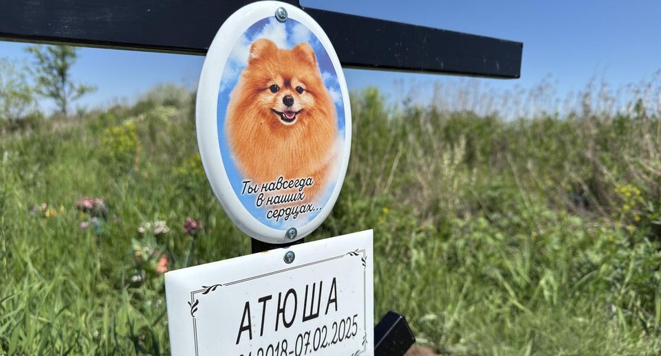    Alexander Legky/Global Look Press / www.globallookpress.com