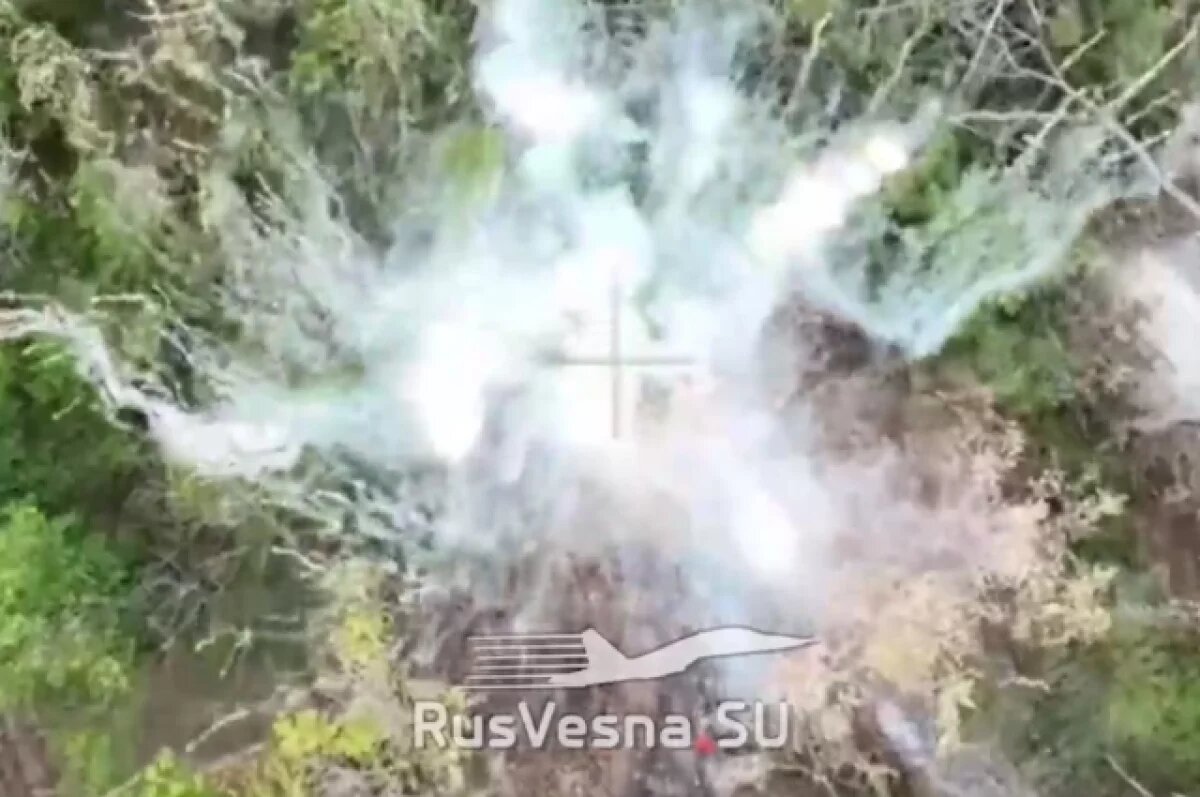    Военкор Котенок: военные РФ выбили ВСУ из Серебрянки на северском участке