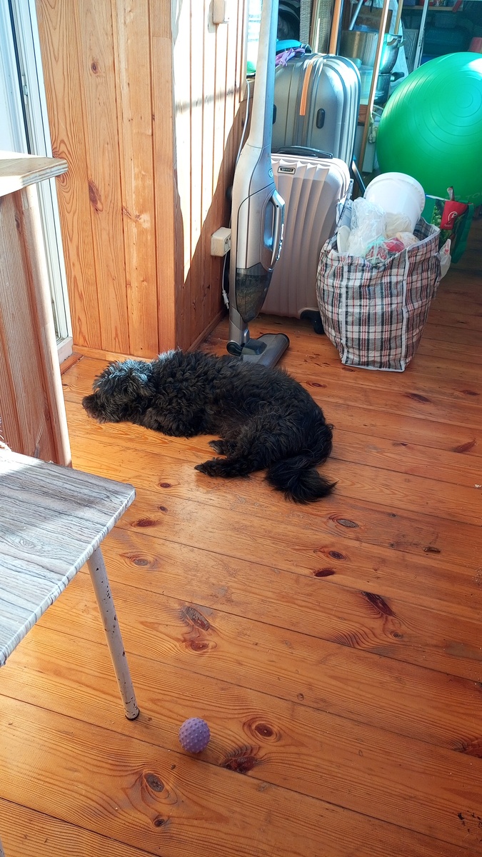 Все дружно валялись