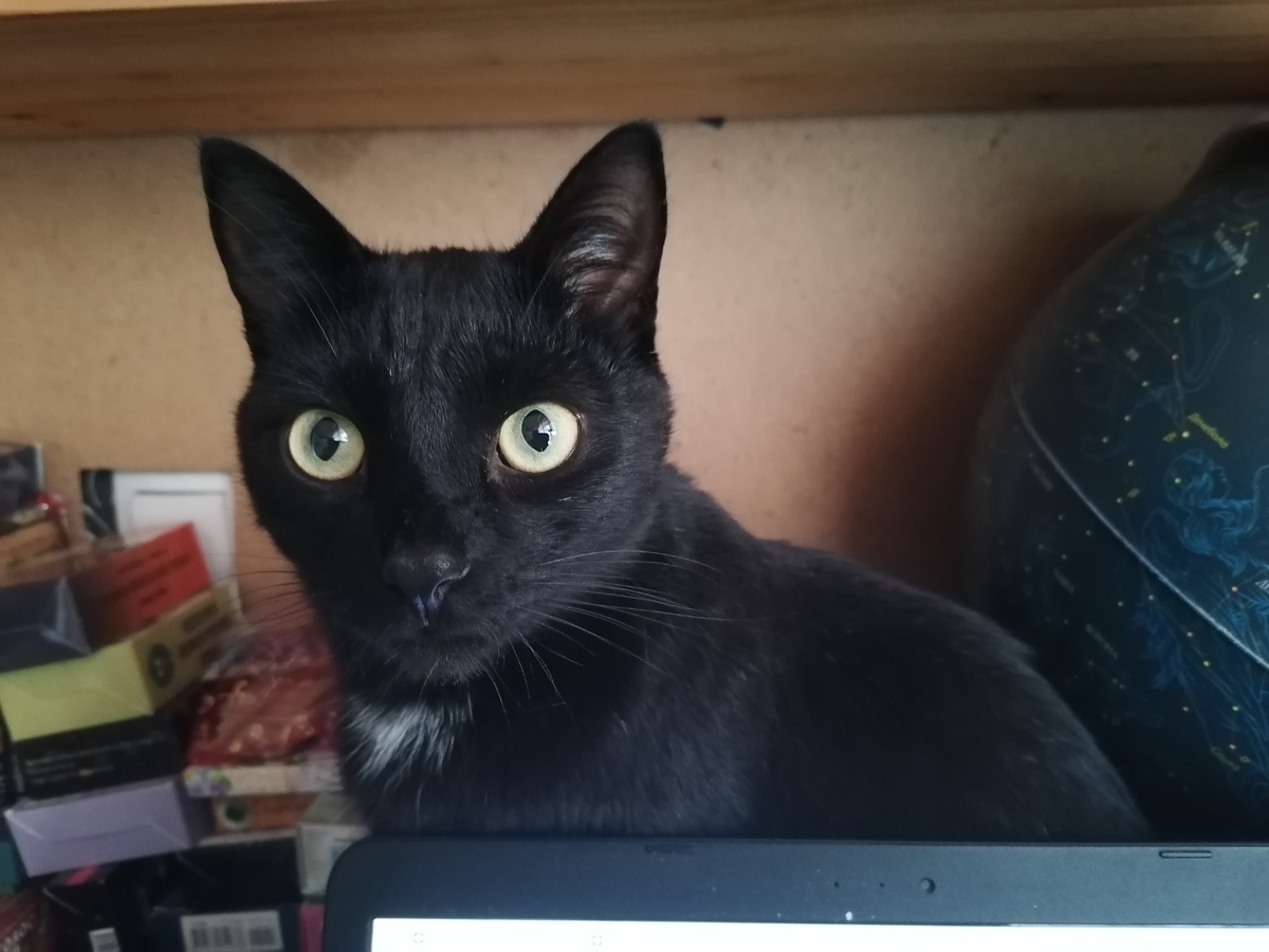 Фото автора