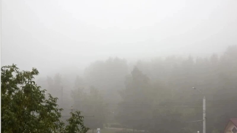     Дождь в Барнауле Михаил Хаустов