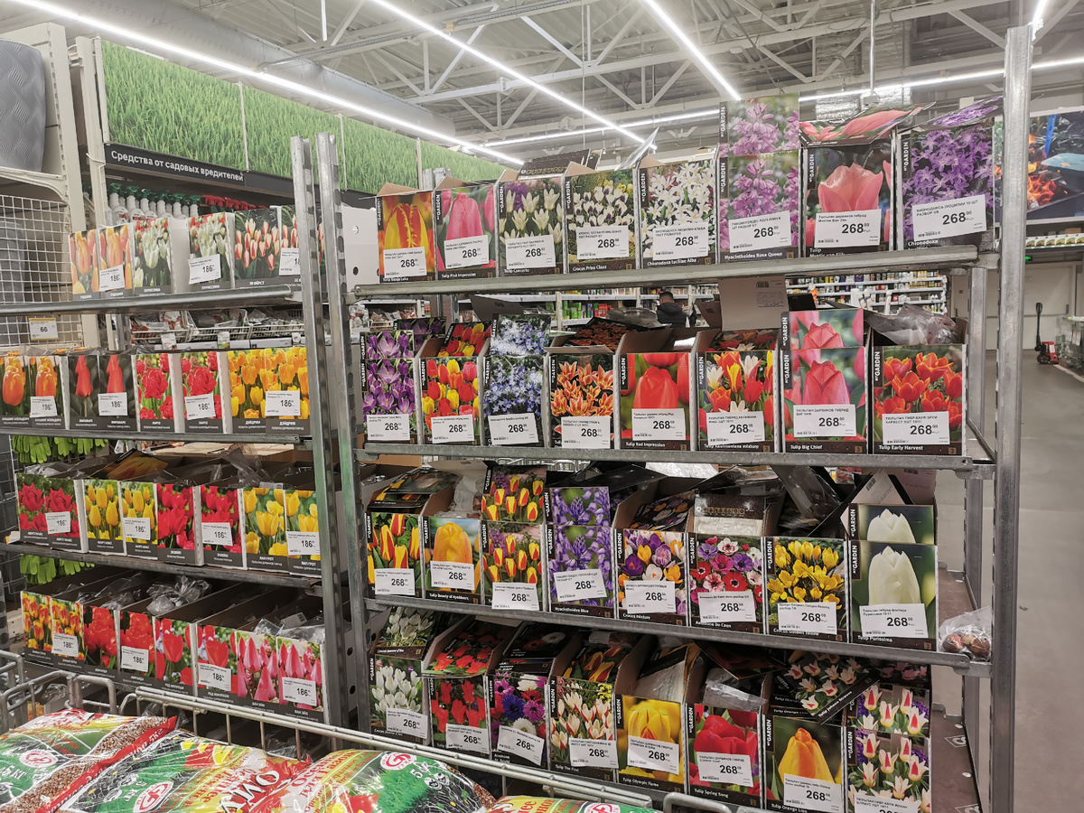 Лемана-про 2025