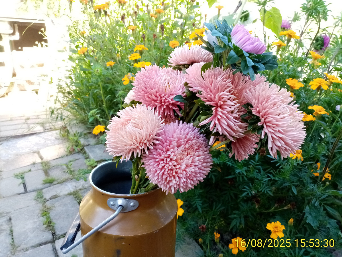 Букет хризантелл