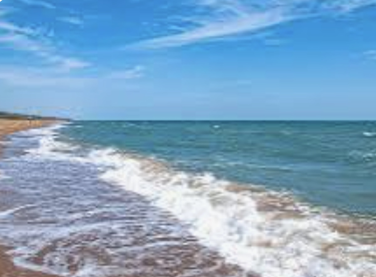 из свободных источников