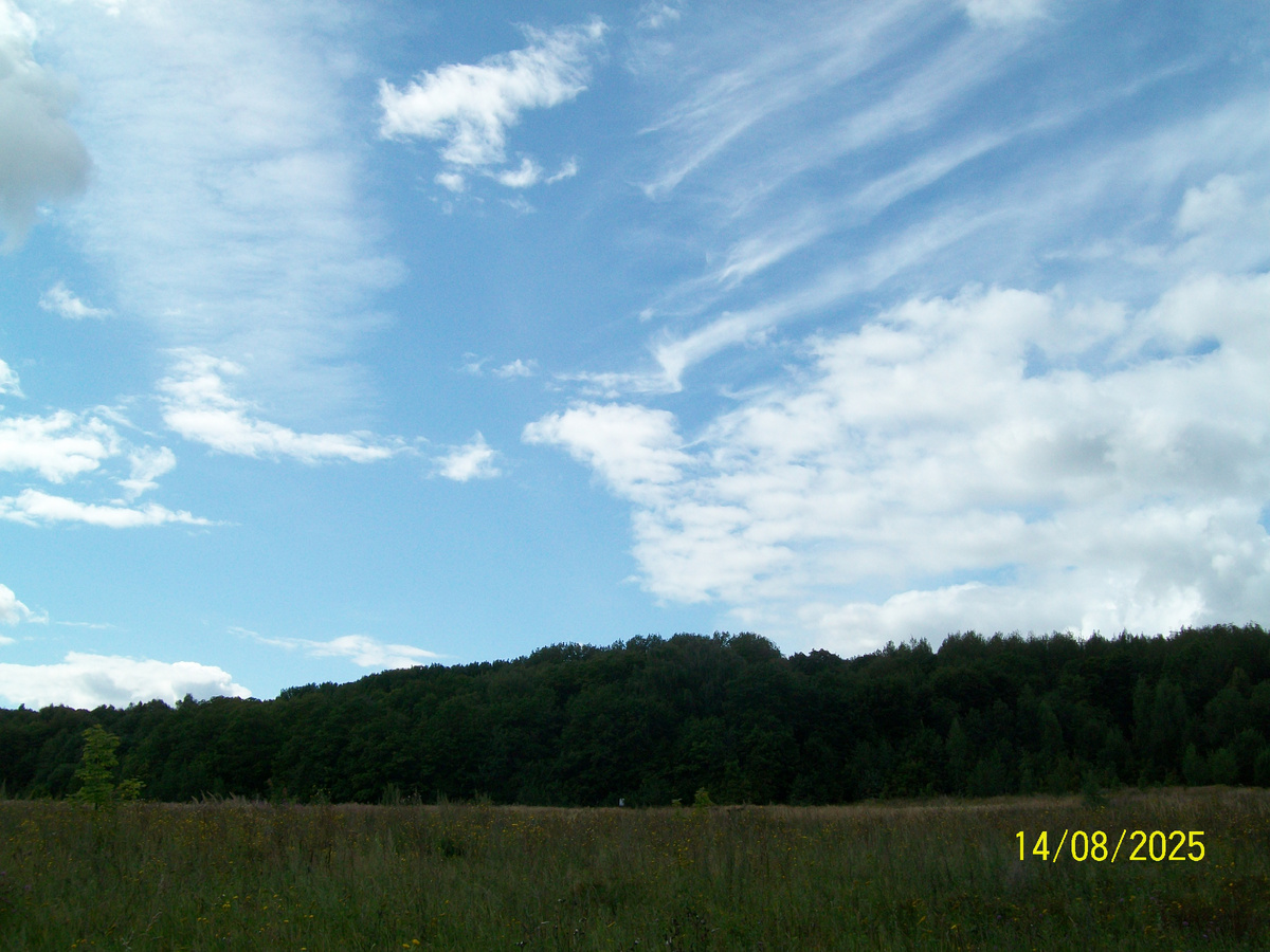 Личное фото