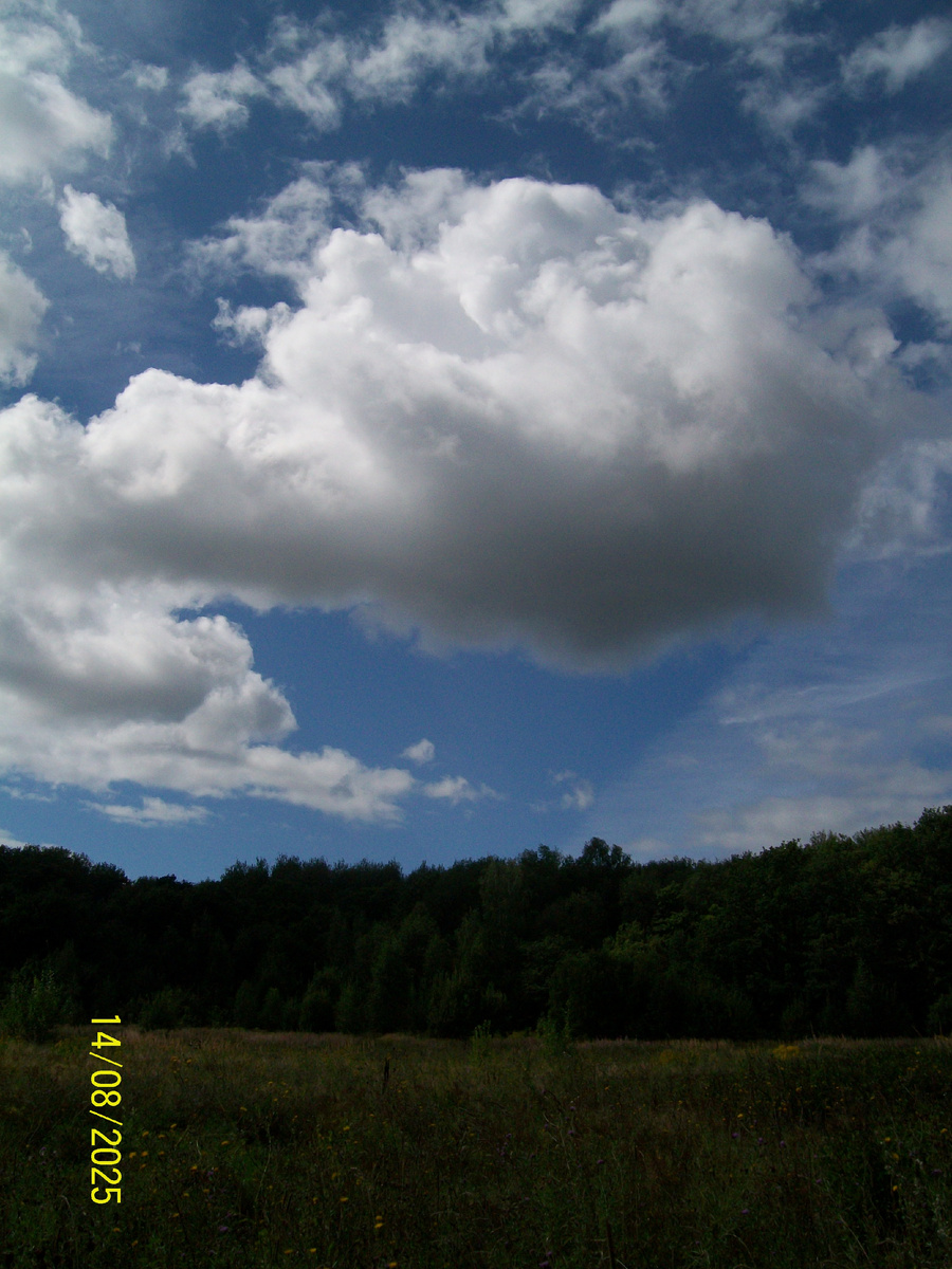 Личное фото